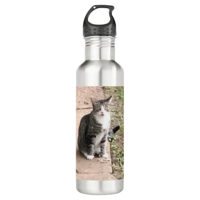 Botella De Agua Gato (Anverso)