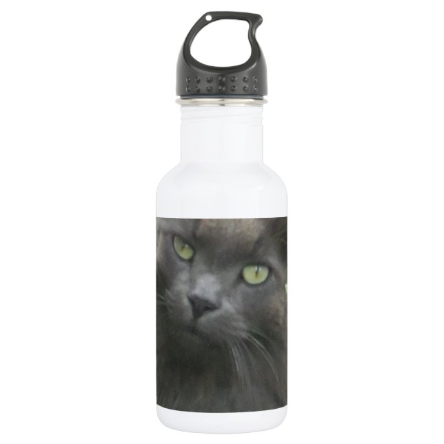 Botella De Agua Gato azul ruso gris y largo (Anverso)