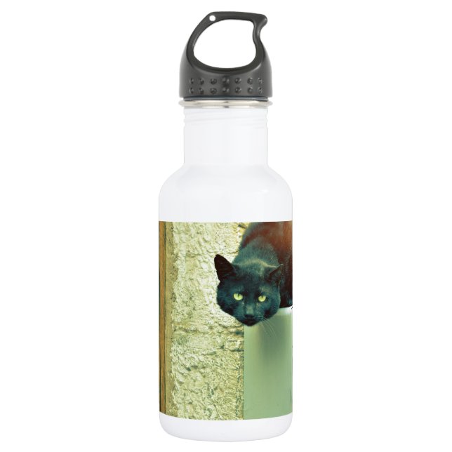 Botella De Agua gato callejero negro (Anverso)