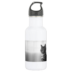 Botella De Agua Gato de corte