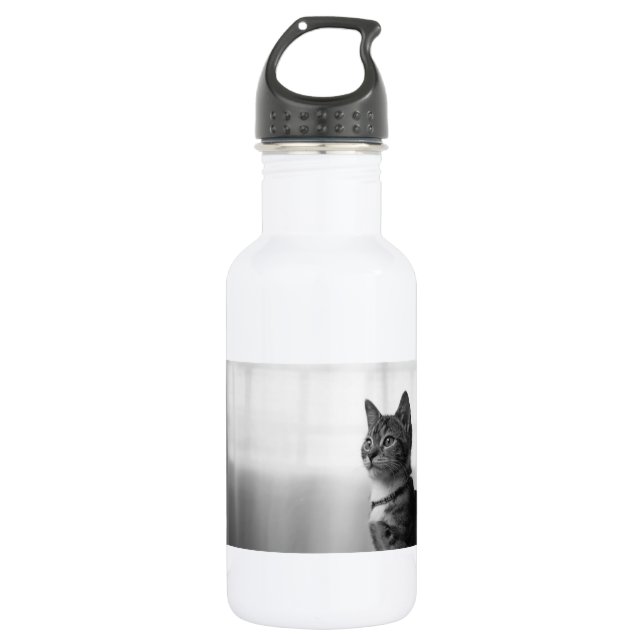 Botella De Agua Gato de corte (Anverso)