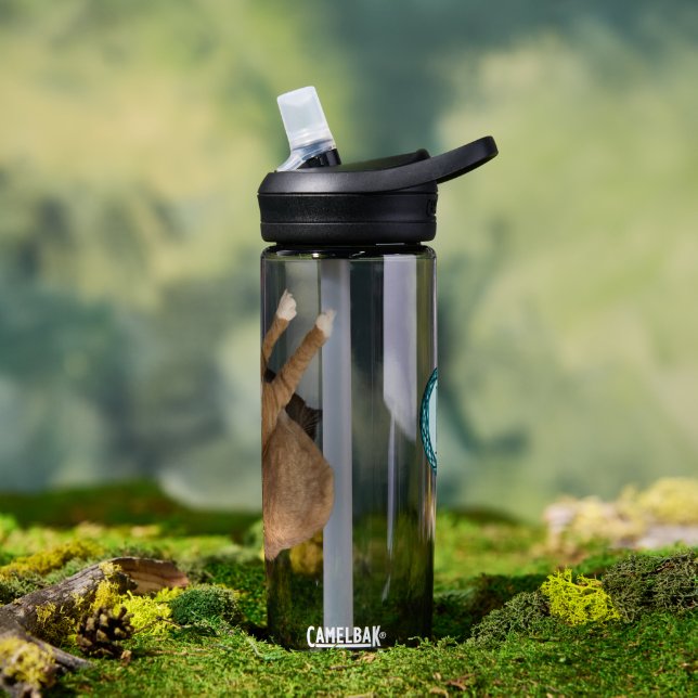 Botella De Agua Gato de Sol Boca Abajo (Exterior)