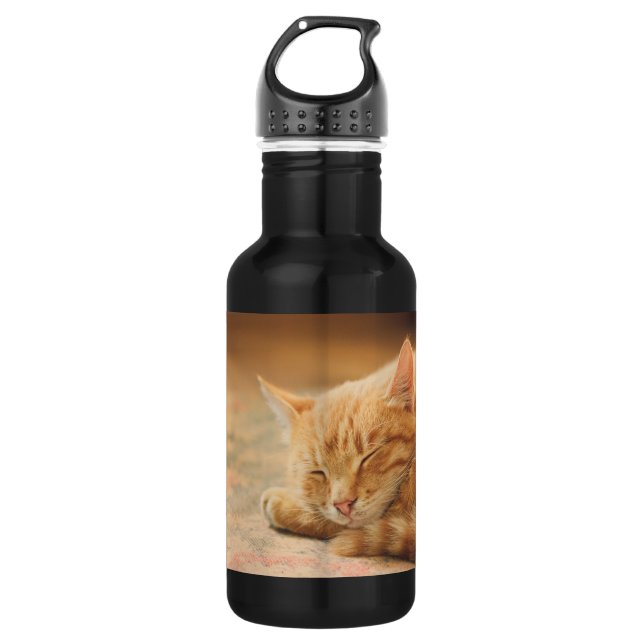 Botella De Agua Gato de Tabby anaranjado el dormir (Anverso)