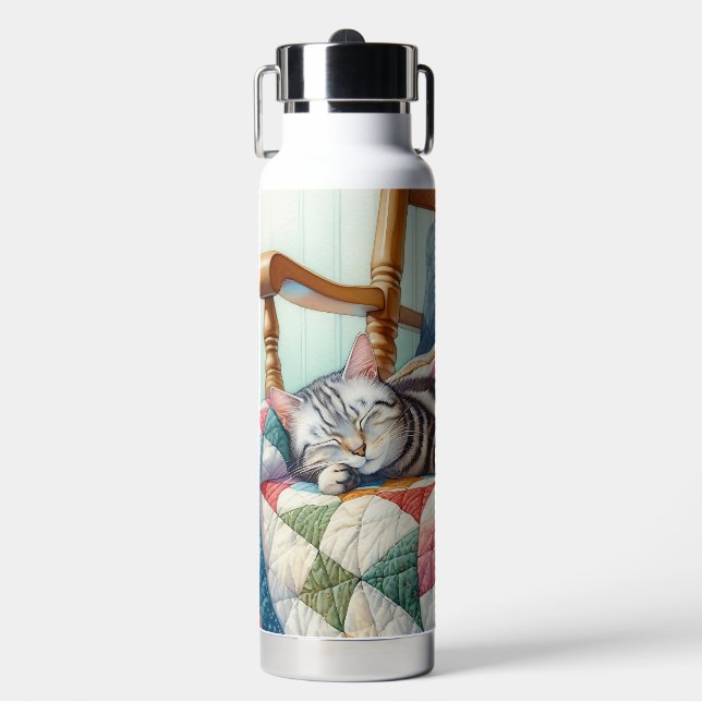 Botella De Agua Gato grisáceo dulce durmiendo en un montón (Frente)
