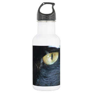 Botella De Agua Gato que le observa