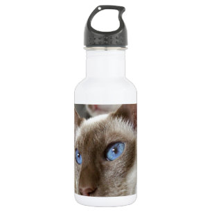 Botella De Agua Gatos siameses Mascotas Animales