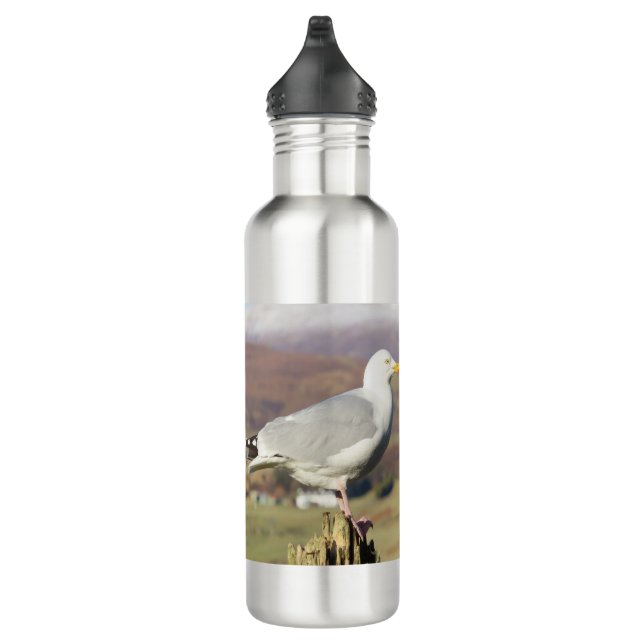 Botella De Agua Gaviota en una publicación de cerca (Derecha)