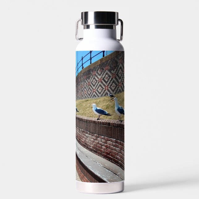 Botella De Agua Gaviotas (Delantero)