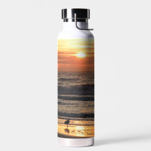 Botella De Agua Gaviotas junto al mar al atardecer