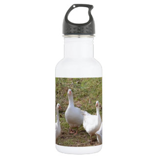 Botella De Agua Geese blanco
