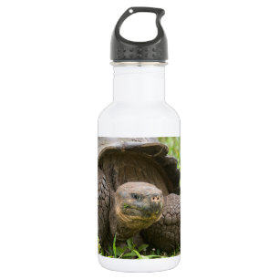 Botella De Agua Giant turtle