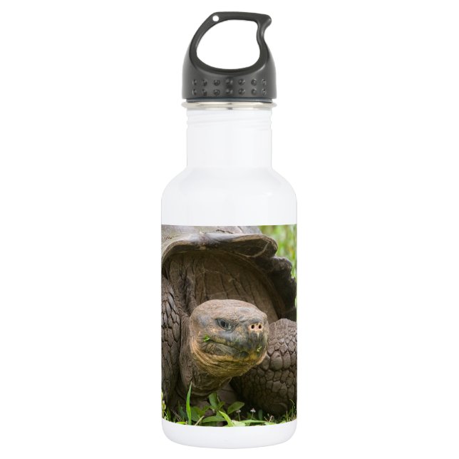 Botella De Agua Giant turtle (Anverso)