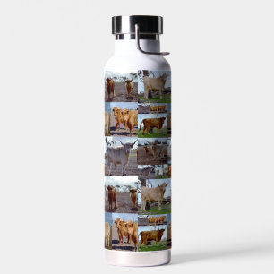 Botella De Agua Gloria de las Tierras Altas: Un Collage de Vacas M