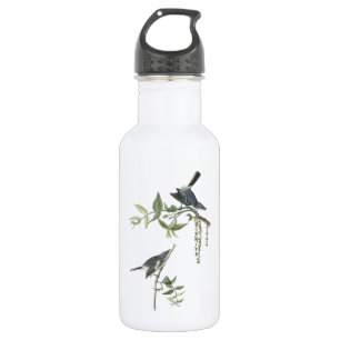Botella De Agua Gnatcatcher azul-gris de Audubon