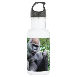 Botella De Agua gorilas del silverback