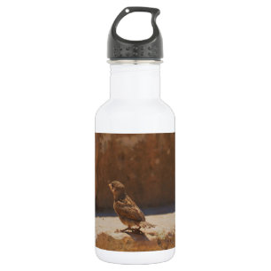 Botella De Agua Gorrión joven