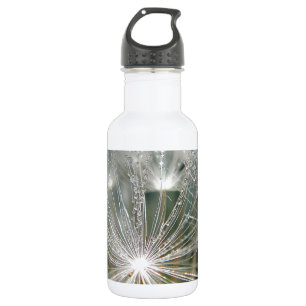 Botella De Agua Gotas de agua brillantes sobre un diente de león b