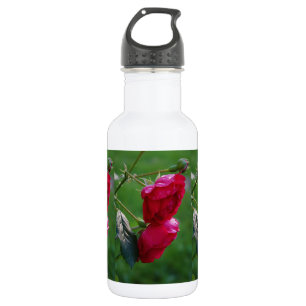 Botella De Agua Gotas de la lluvia
