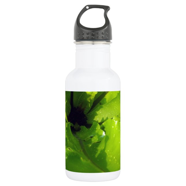 Botella De Agua Gotitas_de_Pasión_Verdes,_ (Anverso)