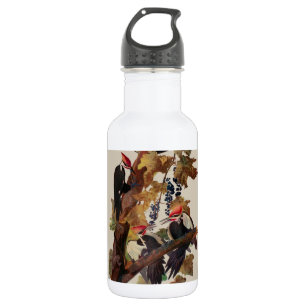 Botella De Agua Grabado de ave Carpintero Pileado de John James Au