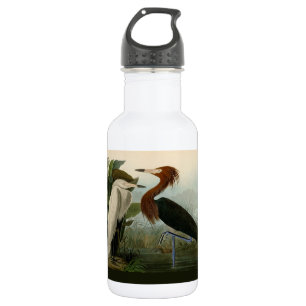 Botella De Agua Grabado de Garza Morada de Audubon: Arte de Aves