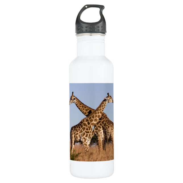 Botella De Agua Grafas de África Safari (Anverso)