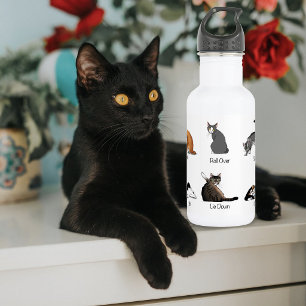 Botella De Agua Gráfico de Entrenamiento de Comandos de Gatos Dive