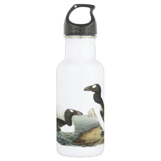 Botella De Agua Gran Auk de Audubon