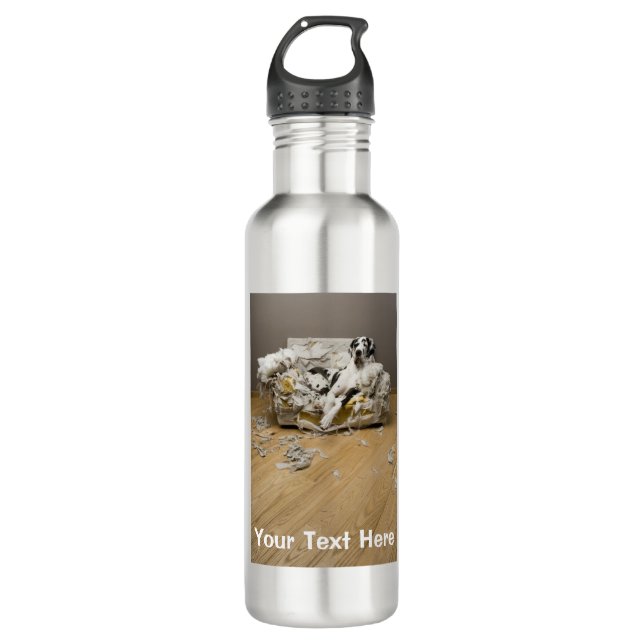 Botella De Agua Gran dano sobre aluminio de sofa masticado (Anverso)