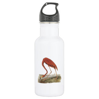 Botella De Agua Gran flamenco de Audubon