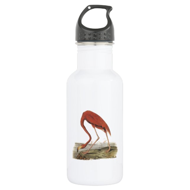 Botella De Agua Gran flamenco de Audubon (Anverso)