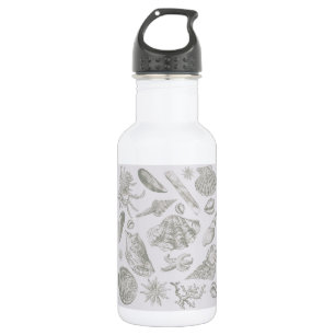 Botella De Agua Gris suave salvia concha de mar boceto antiguo nat