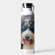 "Guay Dood! bernedoodle en gafas de sol agua Botel