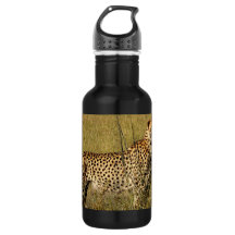 Guepardo africano salvaje en hierbas de la sabana