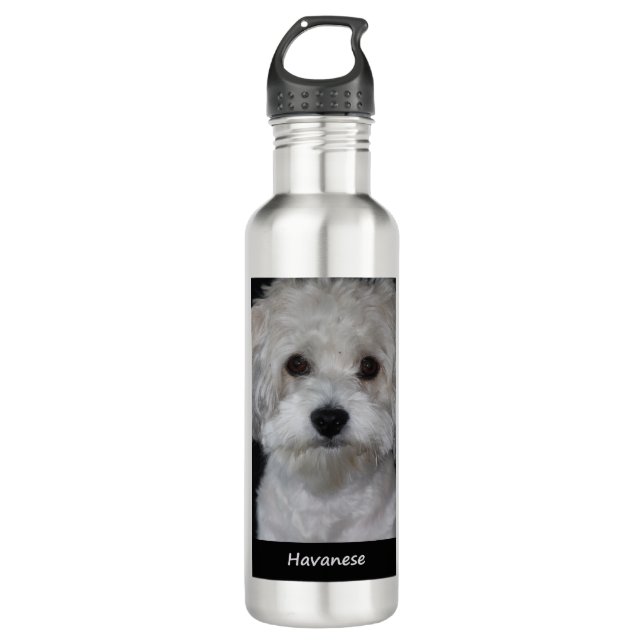 Botella De Agua Havanese (Anverso)