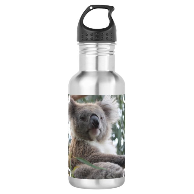 Botella De Agua Hechos del oso de koala (Anverso)