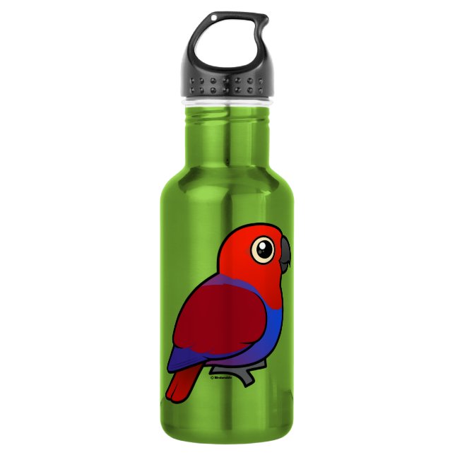 Botella De Agua Hembra del loro de Eclectus (Anverso)