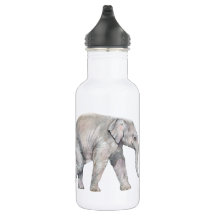 Hermanos del elefante asiático