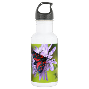 Botella De Agua Hermosa Moth