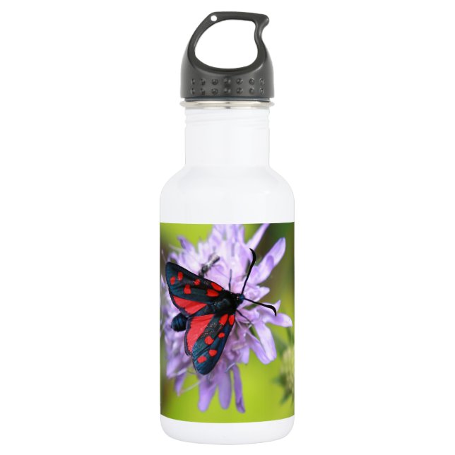 Botella De Agua Hermosa Moth (Anverso)