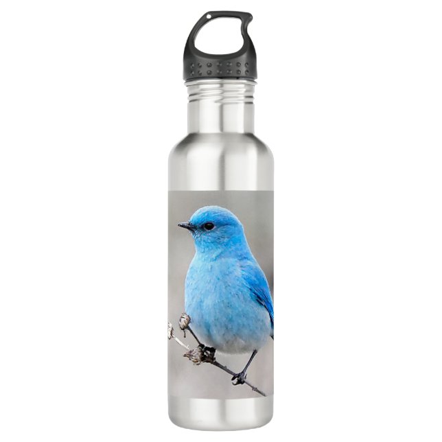 Botella De Agua Hermoso Bluebird de montaña en Tansy (Anverso)