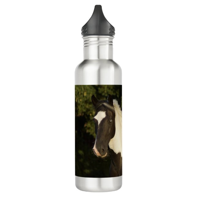 Botella De Agua Hermoso caballo de pintura con ojos azules  (Izquierda)