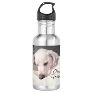 Botella De Agua Hermoso labrador blanco mezcla paz de perro en Sta