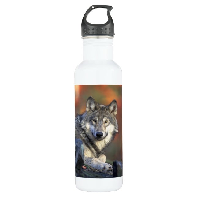 Botella De Agua Hermoso Lobo (Anverso)