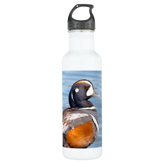 Botella De Agua Hermoso pato Harlequin en la roca (Anverso)