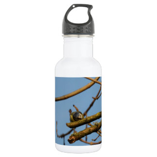 Botella De Agua Herrerillo común