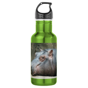 Botella De Agua Hipopótamo
