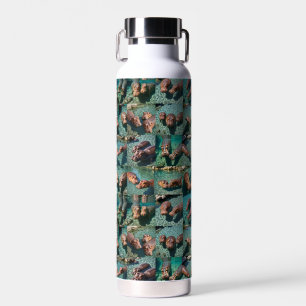 Botella De Agua Hippos en juego: Un paraíso de estanques