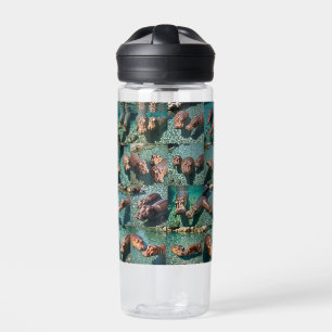 Botella De Agua Hippos en juego: Un paraíso de estanques