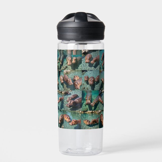 Botella De Agua Hippos en juego: Un paraíso de estanques (Delante)